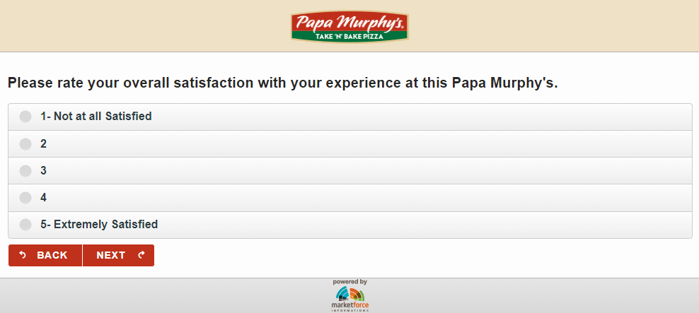 PapaSurvey Store Exprience