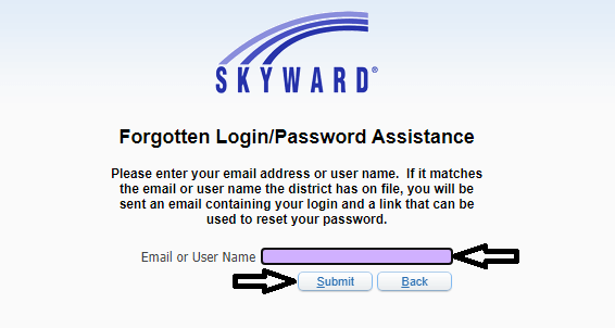 enter email or username to reset skyward login password