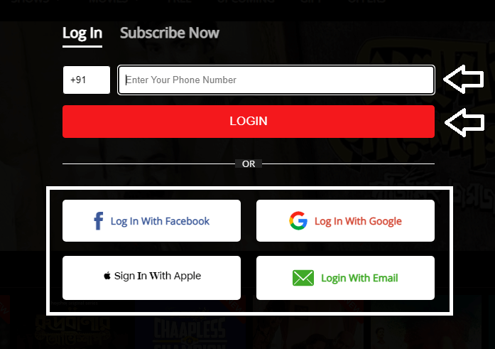 choose preferred option for hoichoi login