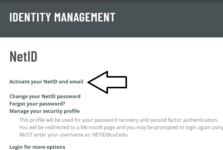 click on activate your netid and email