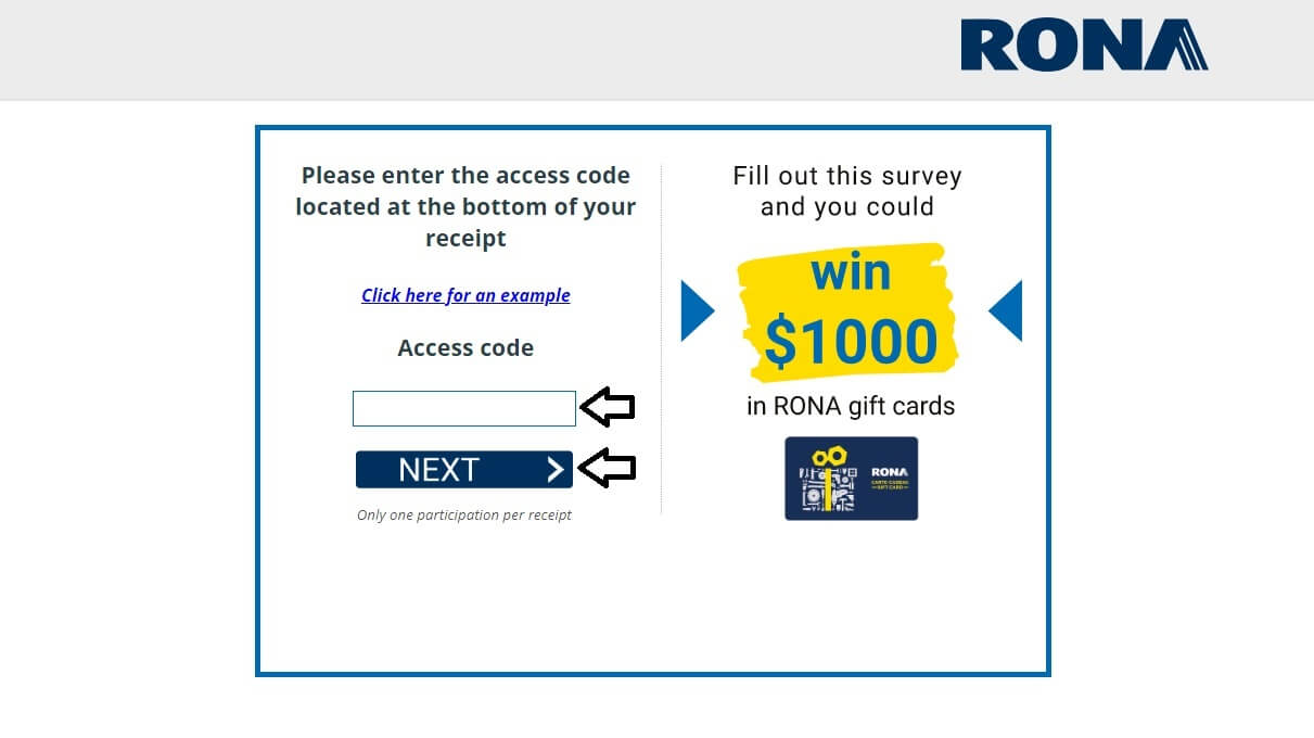 rona store survey