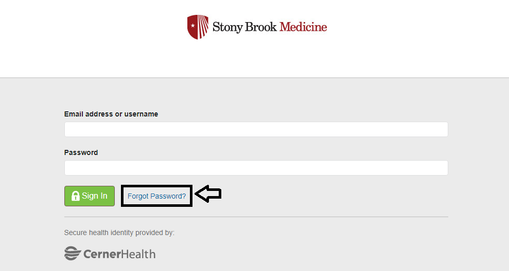 forgot stony brook patient portal password