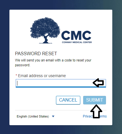 reset cmc patient portal login password