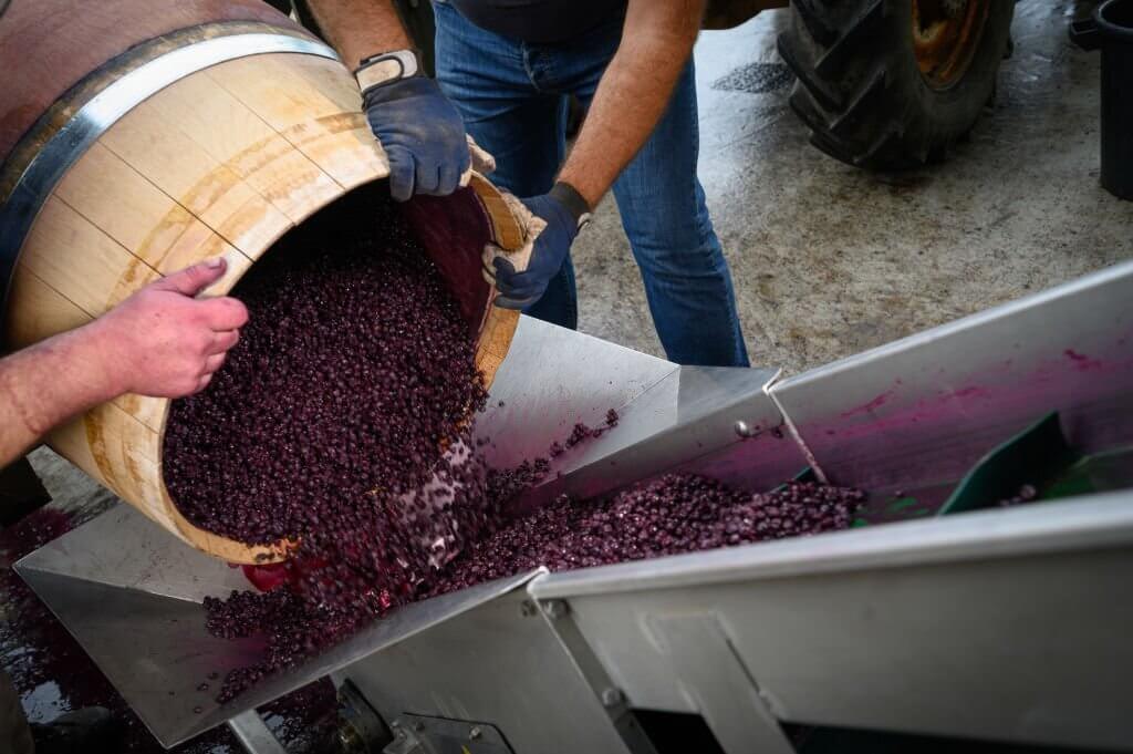 winemaking